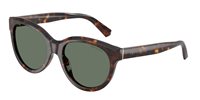 Occhiali da sole Tiffany Donna 0TF427180153H55